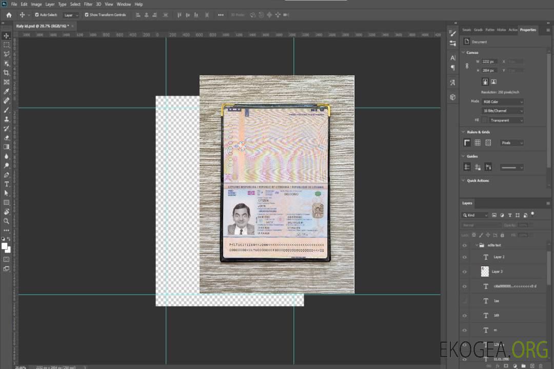 Nouveau photolook du passeport lituanien 2021-présent template Nouveau photolook du passeport lituanien 2021-présent template